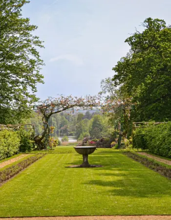 Groen & Tuin Meesters