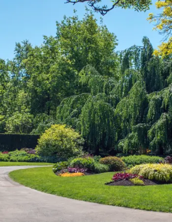 Groen & Tuin Meesters