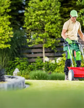 Groen & Tuin Meesters