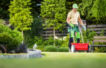 Groen & Tuin Meesters