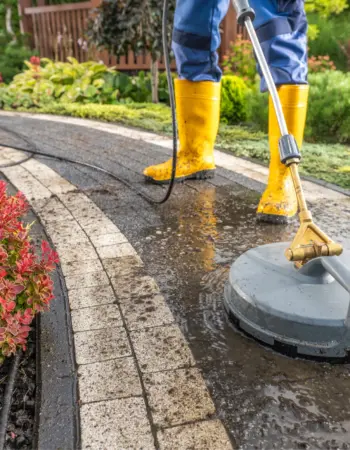 Groen & Tuin Meesters